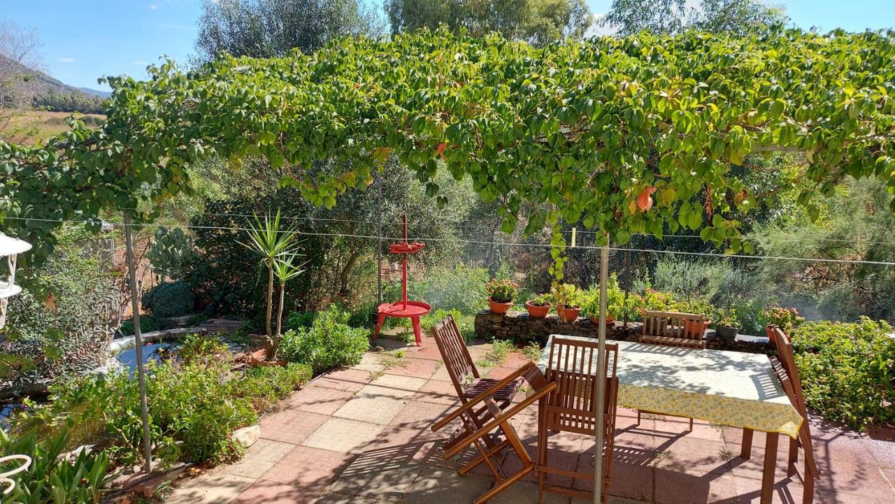 Apartamento Sa Domu 'E Pisittu Iglesias Exterior foto